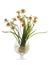 Artificial daffodils bouquet in a glass