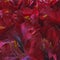 Artificial dark crimson synthetic flowers,floral pattern for wrapping or banner background.