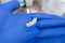 Artificial dental structures in  hands of a dentist