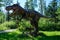 Artificial dinosaurs and ancient reptile sculptures in the park