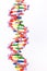 Artificial DNA model