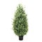 Artificial eucalyptus populus cone tree like real as modern evergreen ecological decoration for interiors