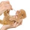 Artificial feeding newborn kitten