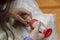 Artificial feeding a newborn Maine Coon kitten