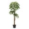 Artificial ficus bendjamina tree like real as modern evergreen ecological decoration for interiors