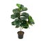 Artificial ficus lyrata tree like real as modern evergreen ecological decoration for interiors