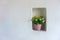 Artificial flower in pink pot on white cement wall textured