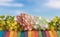 Artificial flowers on the colorful wooden with blue sky