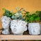 Artificial flowers in stone vases in form of heads of idols on a shelf as an interior decoration