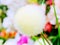 Artificial fluffy round white dandelion on blurred background