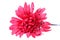 Artificial gerbera flower