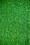 Artificial grass A background