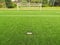 Artificial grass field on football playground. Detail of a cross of lines in a soccer field. Plastic grass and ground rubber