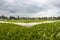 Artificial grass on a football playing ground