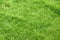 artificial grass green polyethylene coating as textured background