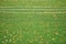 Artificial grass, sports field cover