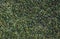 Artificial grass texture for football field. Decorative lawn