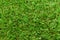 Artificial grass turf background