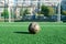 Artificial grass, white lines, soccer goal and an old shabby worn soccer ball in front of the goal on a sunny day