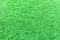 Artificial green grass or astroturf for background