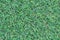 Artificial green grass. Grass texture green lawn.