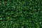Artificial green grass - green leaves background texture.