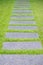 Artificial green grass walk way with concrete plate background