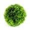 Artificial green plant in the ball shape