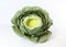 Artificial head of cabbage photo prop for newborn photography