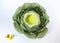Artificial head of cabbage photo prop for newborn photography