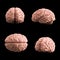 Artificial human brain model, 3d rendering