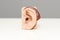 Artificial human ear model with hearing aid on white table. Plastic ear model. Medical theme or science classes.
