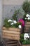 The Artificial hydrangeas and geraniums in wooden boxes near Covent Garden