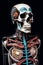 Artificial Intelligence Unveils Human Skeleton