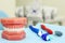 Artificial jaw, tooth brush and dental tool