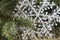 Artificial large snowflake in twig of silver fir