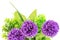 Artificial lilac flowers with green leaves