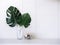Artificial Monstera palm leaves in tall clear glass.