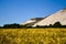 An artificial mountain where potassium is mined behind a yellow cornfield in Hesse, Germany