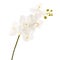 Artificial orchid flower isolated