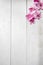 Artificial orchids on white wooden background.