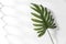 Artificial palm leaf