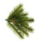 Artificial pine tree branch