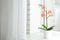 Artificial plant in flower pot on window sill. Space for text