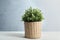 Artificial plant in wicker flower pot on wooden table