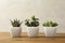 Artificial plants in white flower pots on table