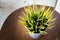 Artificial plastic plant leaves vase