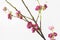 Artificial Plum Blossom