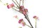 Artificial Plum Blossom