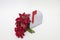 Artificial poinsettia and red berries in a mailbox